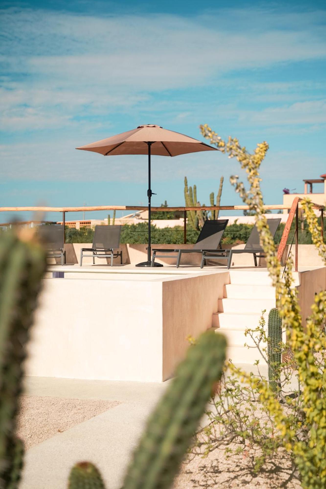 Baja Temple Otel Todos Santos Oda fotoğraf